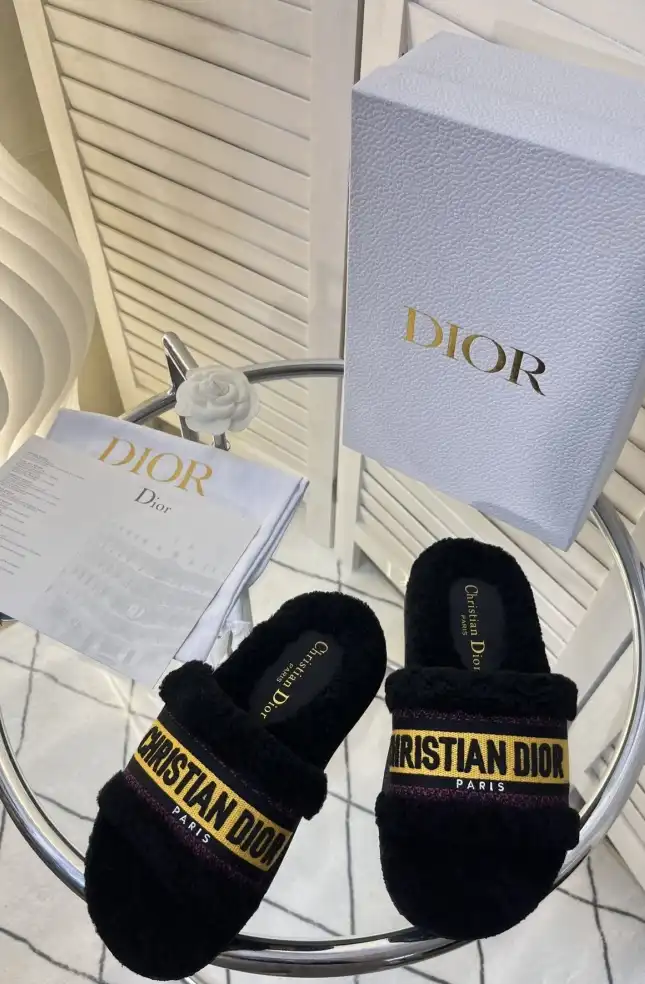 hype Christian Dior Slippers