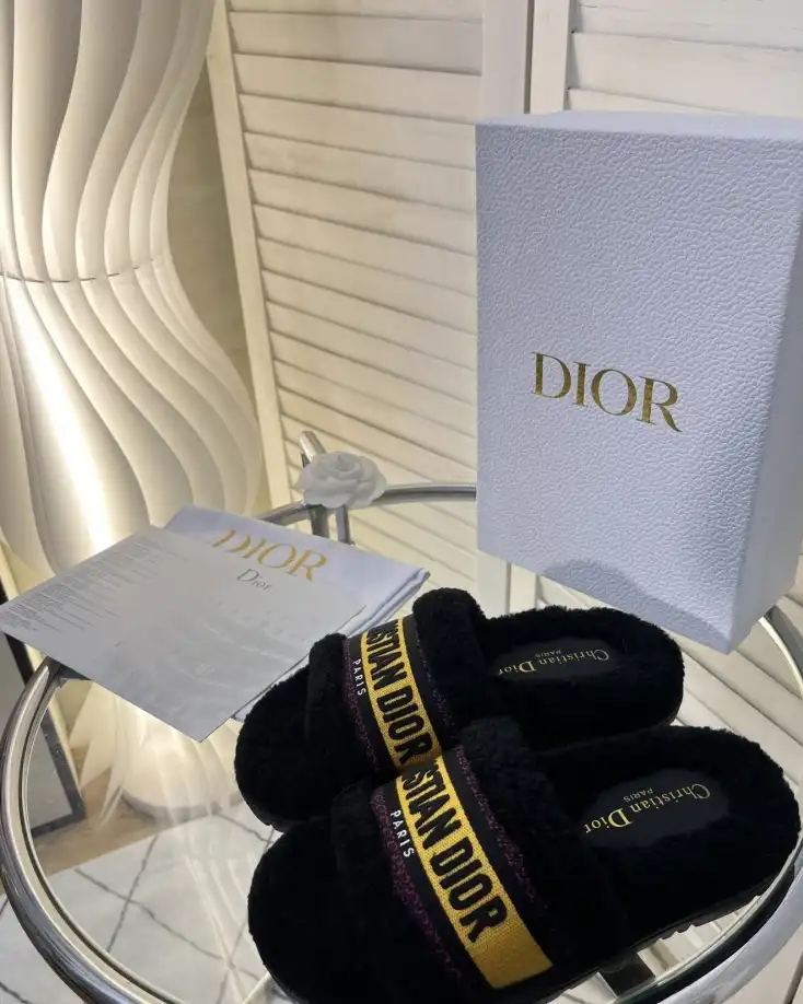 hype Christian Dior Slippers