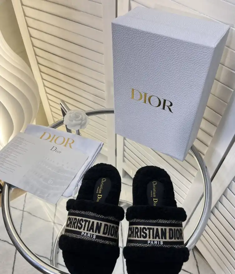 hype Christian Dior Slippers