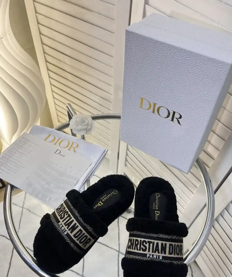 hype Christian Dior Slippers