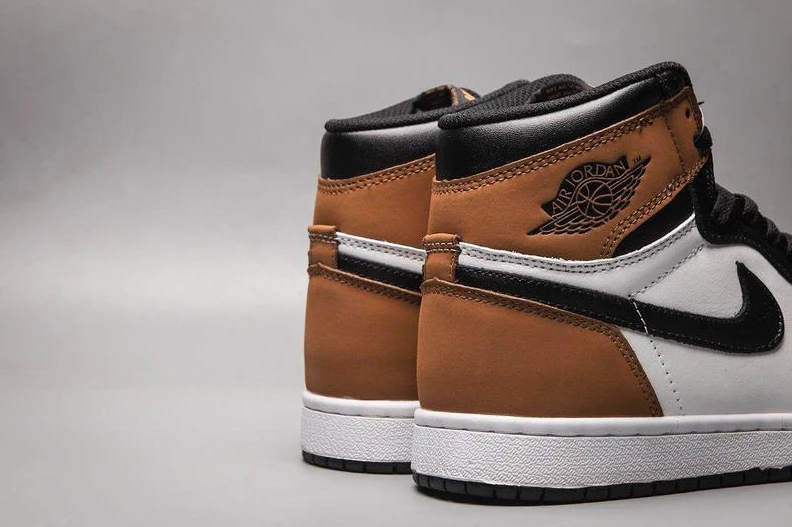 Air Jordan 1 Black Brown Toe-1