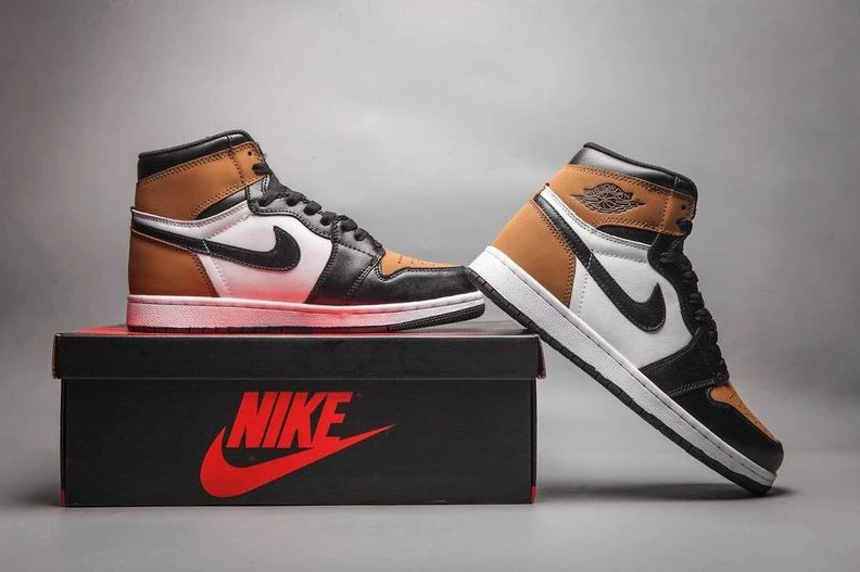 Air Jordan 1 Black Brown Toe-1