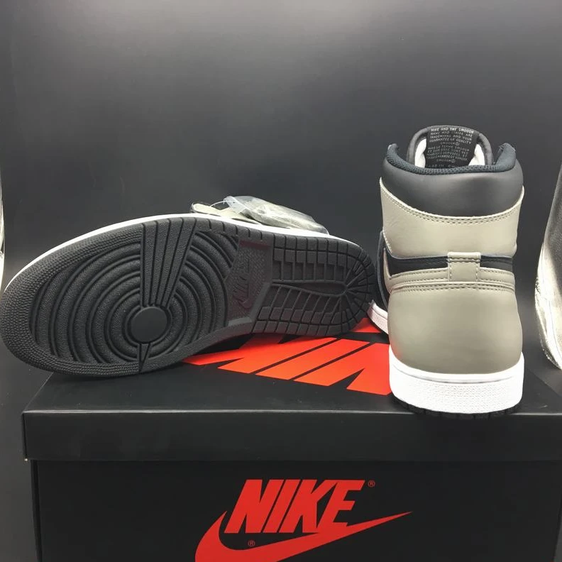 Air Jordan 1 Retro High OG Shadow-1