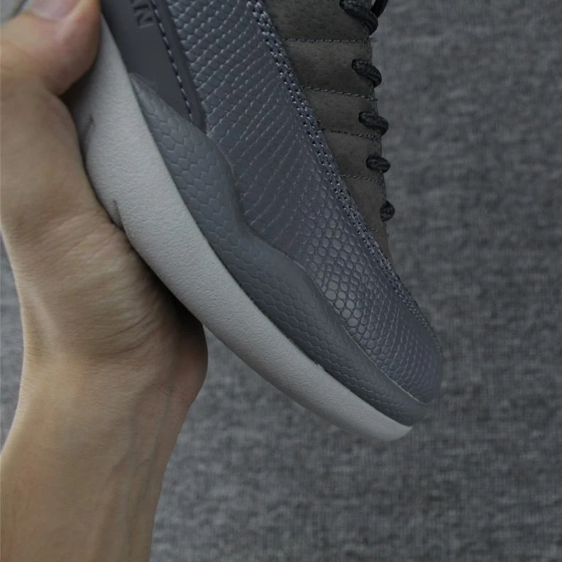 Air Jordan 12 Cool Gray-01
