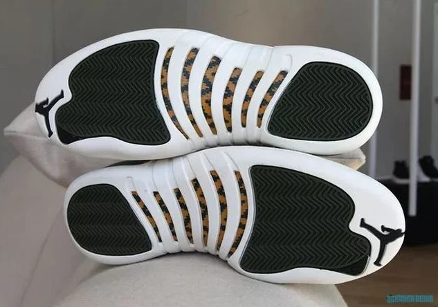 Air Jordan 12 Graduation Pack-01