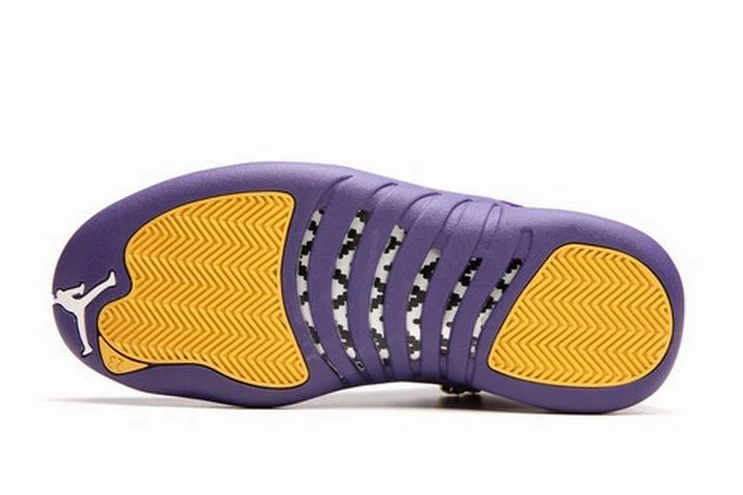 Air Jordan 12 Purple “Heiress” -1
