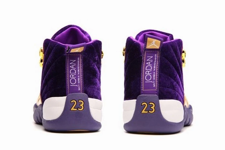 Air Jordan 12 Purple “Heiress” -1