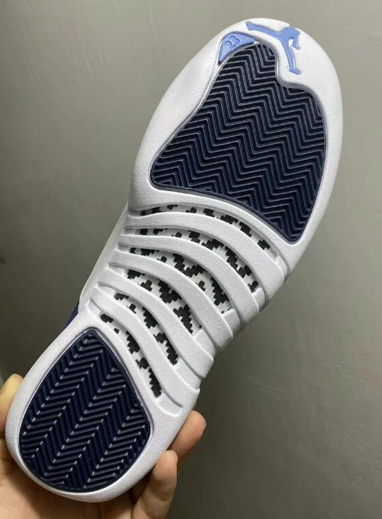 Air Jordan 12 Retro Indigo-1
