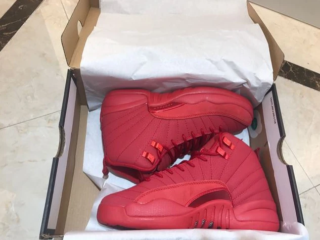 Air Jordan 12 Retro Red Suede Mink