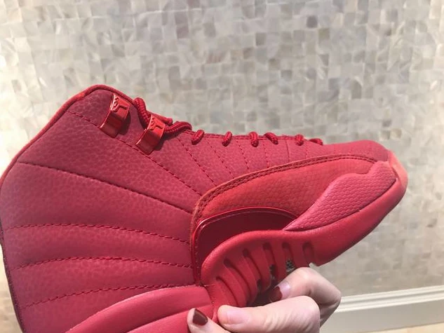 Air Jordan 12 Retro Red Suede Mink