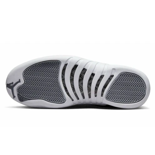 Air Jordan 12 Retro Stealth