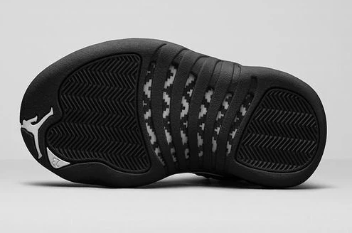 Air Jordan 12 The Master