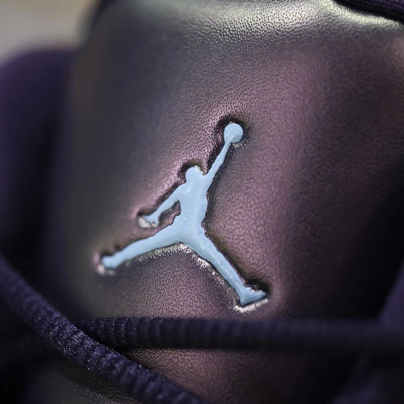 Air Jordan 13 PRM HC GS Dark Raisin-1