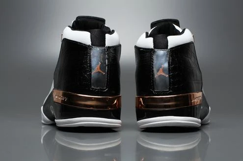 Air Jordan 17+ “Copper”-1