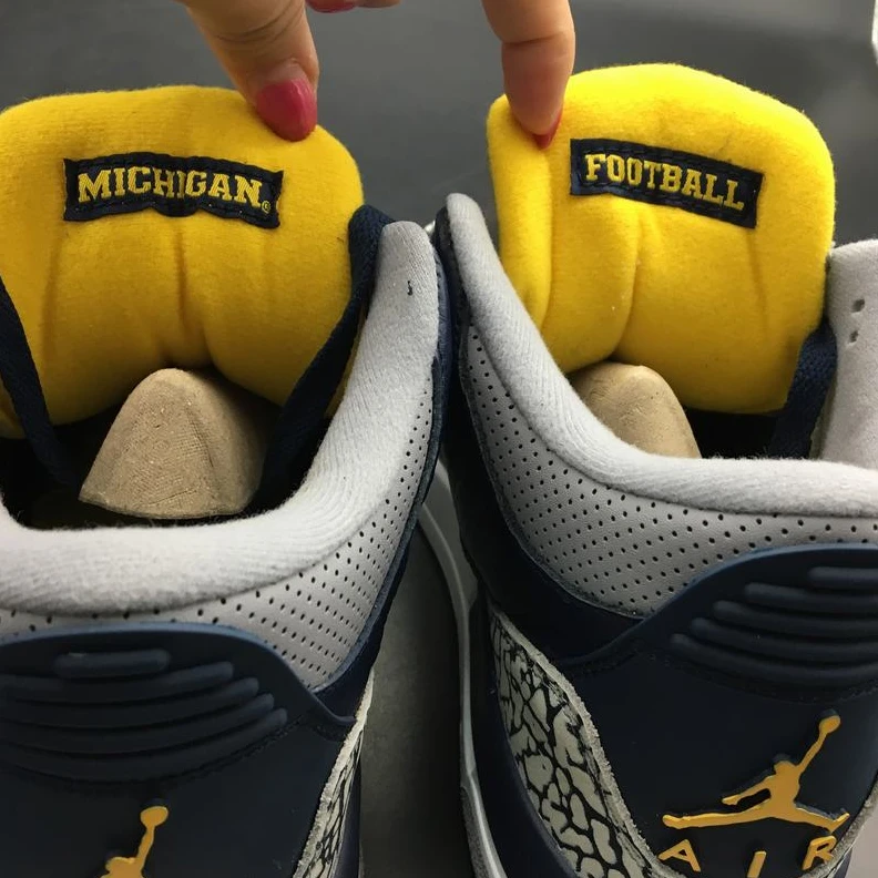 Air Jordan 3 Michigan PE-1