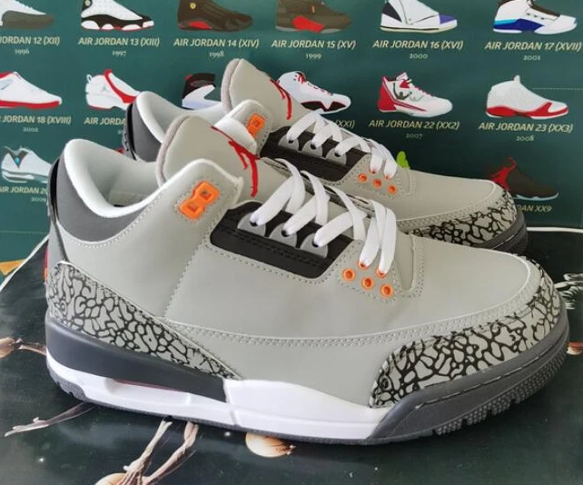 Air Jordan 3 Retro Cold Grey-1