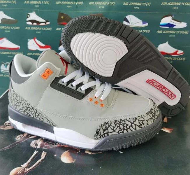 Air Jordan 3 Retro Cold Grey-1