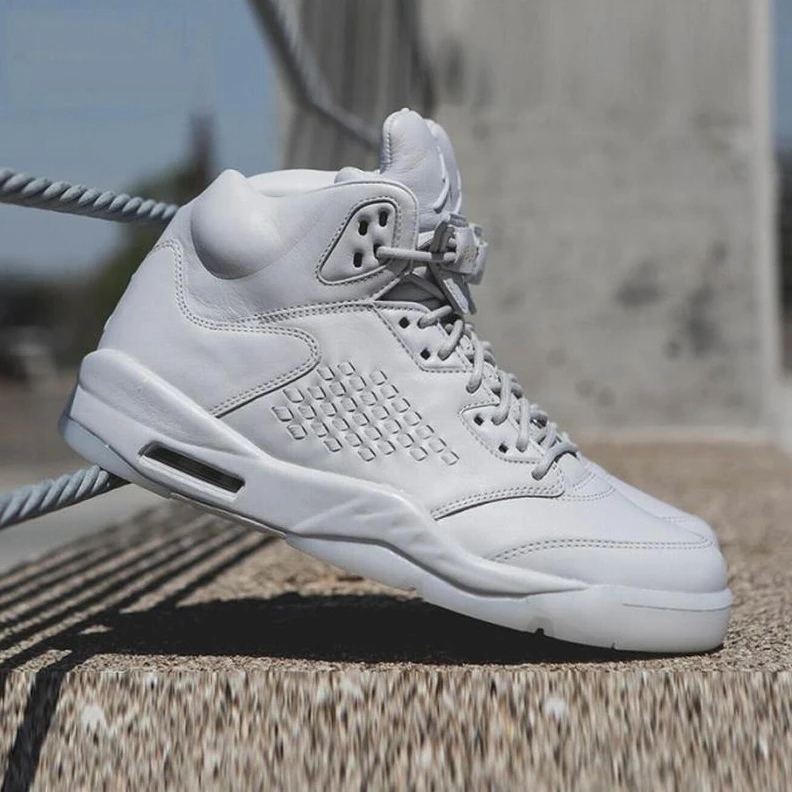 Air Jordan 5 Premium “Pure Platinum”-01