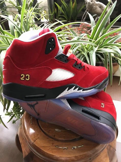 Air Jordan 5 Retro All Red-1