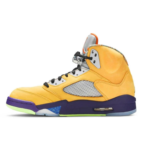 Air Jordan 5 Retro SE What The
