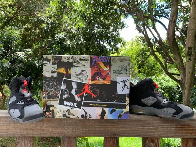 Air Jordan 6 Black Red Grey-1