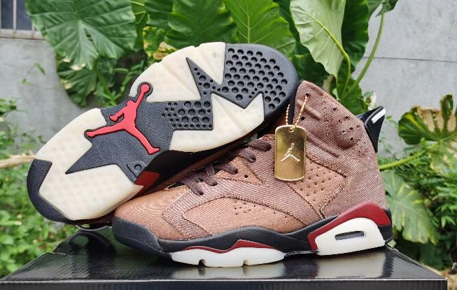 Air Jordan 6 Cowboy Brown-1