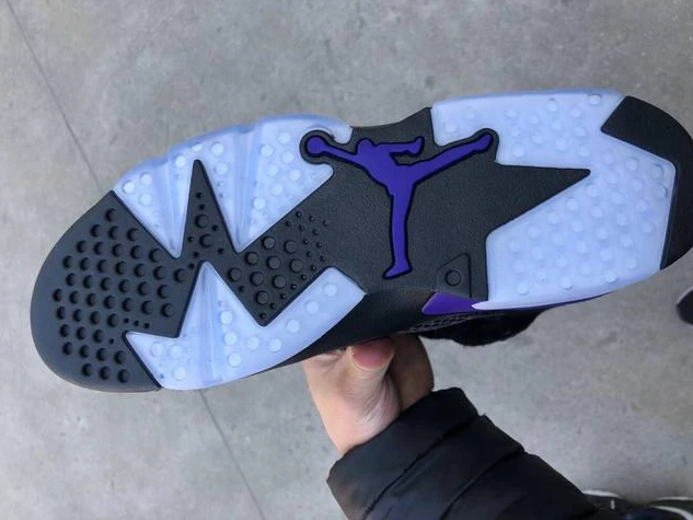 Air Jordan 6 Horseskin-1