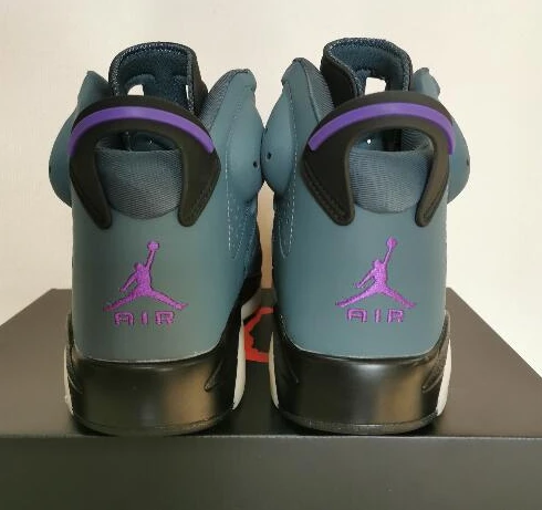 Air Jordan 6 Ocean Purple-1