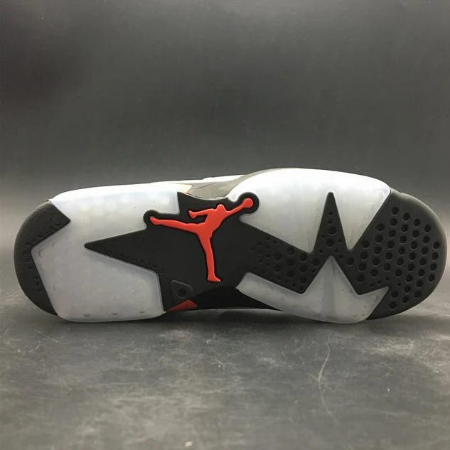 Air Jordan 6 Reflective Silver 3M-1