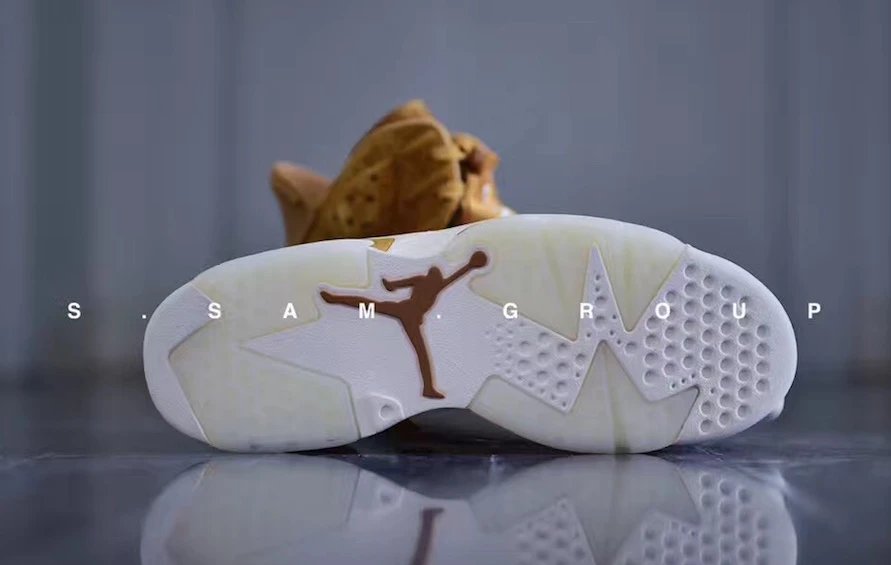 Air Jordan 6 