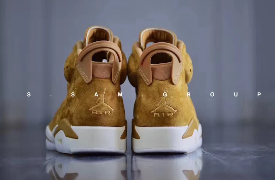 Air Jordan 6 