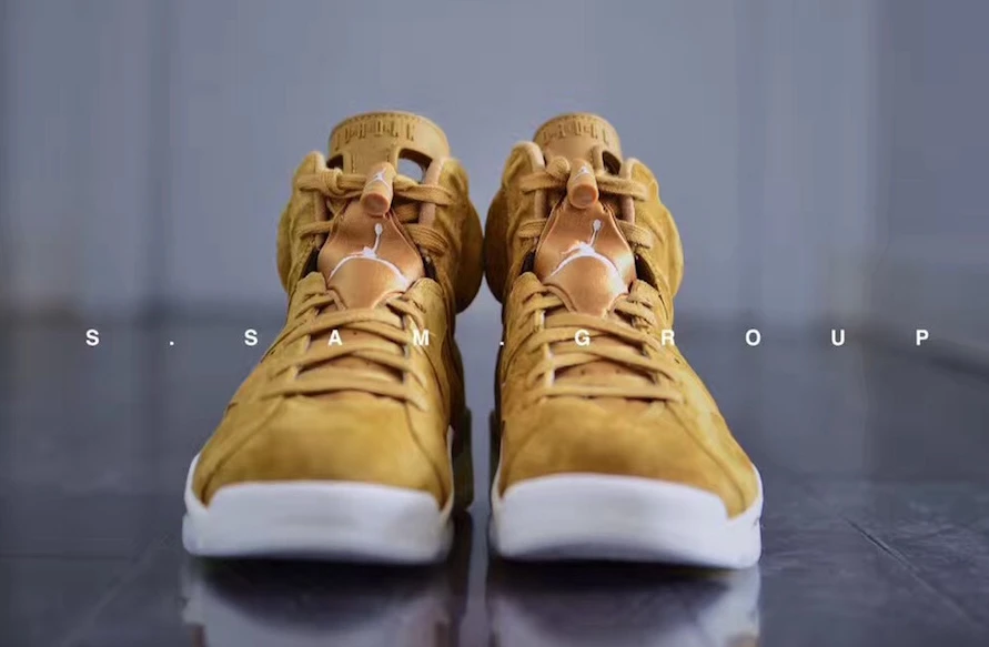Air Jordan 6 