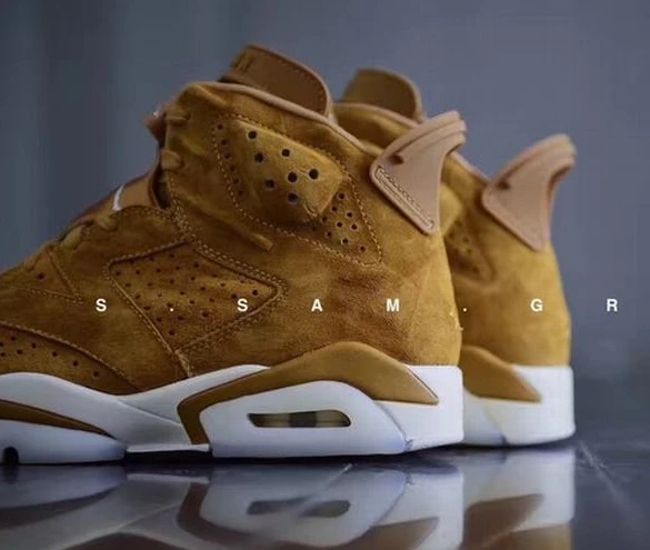 Air Jordan 6 