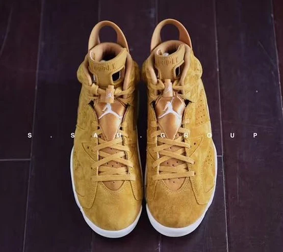 Air Jordan 6 