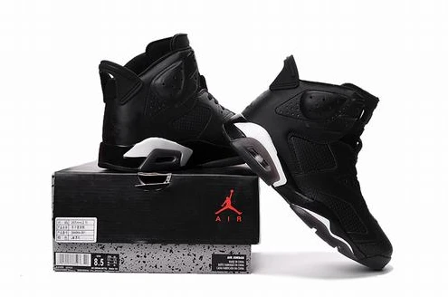 Air Jordan 6 generations of black cats-1