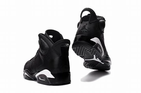 Air Jordan 6 generations of black cats-1