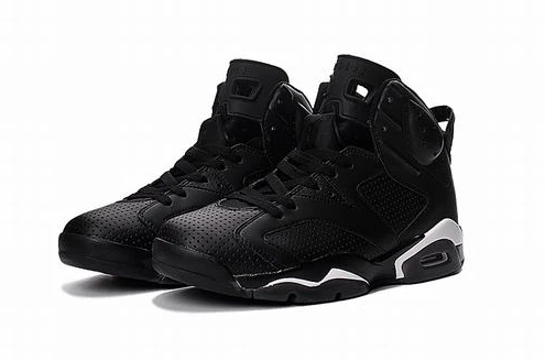 Air Jordan 6 generations of black cats-1