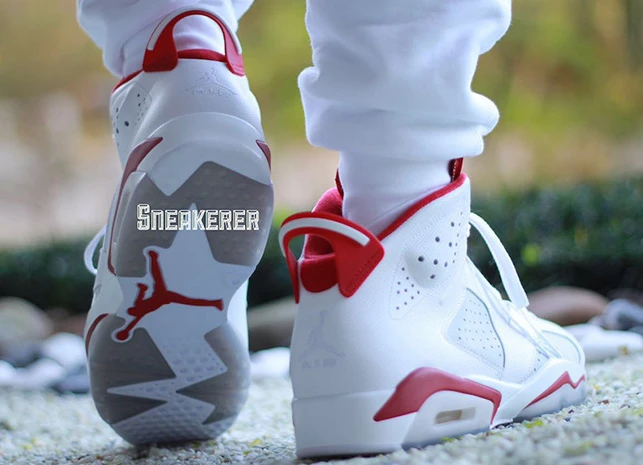 Air Jordan 6 “Alternate”  -1