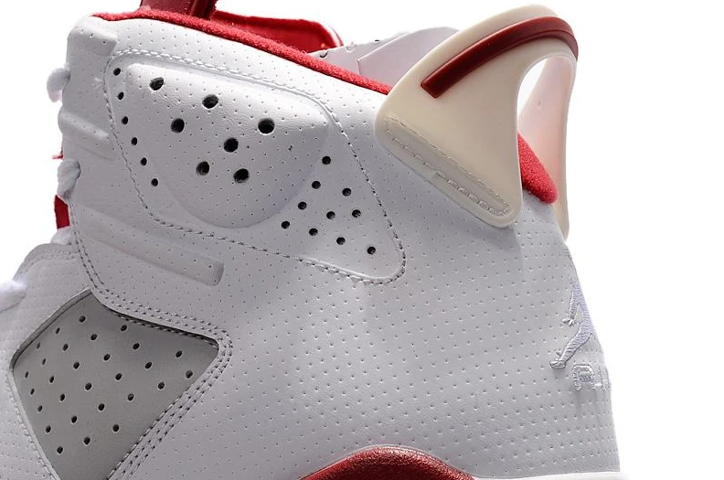 Air Jordan 6 “Alternate”  -1