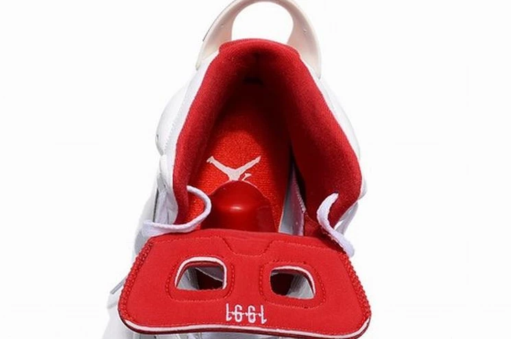 Air Jordan 6 “Alternate”  -1