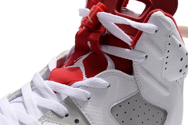Air Jordan 6 “Alternate”  -1