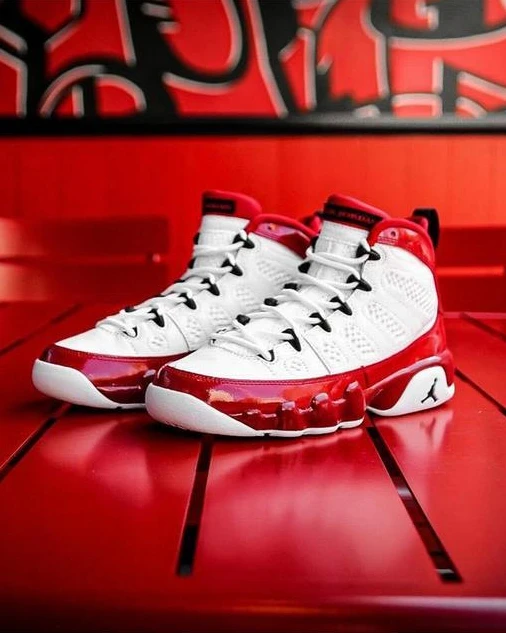 Air Jordan 9 Retro Gym Red-1