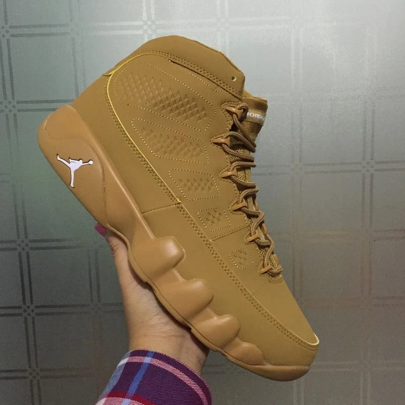 Air Jordan 9 Wheat-01