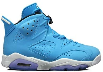 Air Jordan VI (6) Retro-137