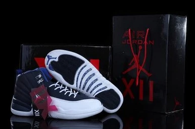 Air Jordan XII (12) Retro-66