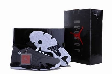 Air Jordan XIV (14) Retro-19