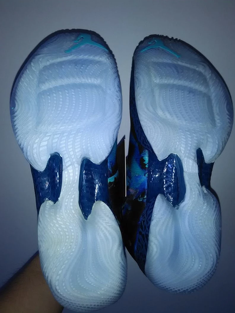 Air Jordan XX9-06