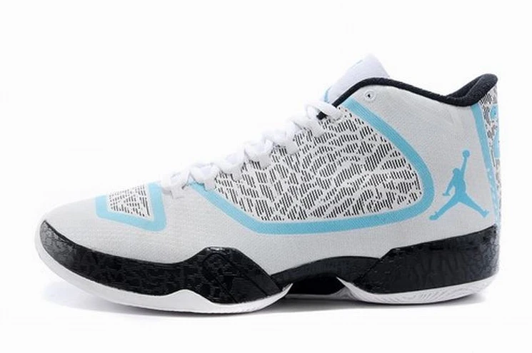 Air Jordan XX9-09