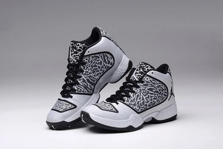 Air Jordan XX9-12
