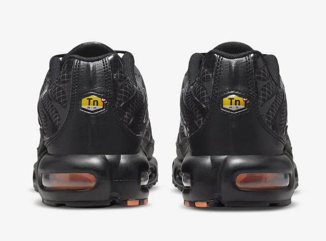 Air Max Plus 3D Swoosh